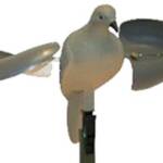 Mojo wind dove