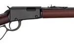 LEVER ACTION 22LR 18.25" LG LP | H001LL | LARGE LOOP