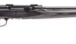 Savage Arms 47006 A17 Target Sporter Full Size 17 HMR 10+1 22" High Luster Heavy Target Barrel, High Luster Drilled & Tapped Carbon Steel Receiver, Satin Gray Fixed Laminate Stock, Right Hand