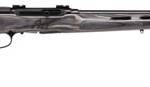 Savage Arms 47221 A22 Target Semi-Auto 22 WMR Caliber with 10+1 Capacity, 22" Barrel, Satin Black Metal Finish & Fixed Thumbhole Gray Laminate Stock Right Hand (Full Size)