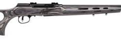 Savage Arms 47221 A22 Target Semi-Auto 22 WMR Caliber with 10+1 Capacity, 22" Barrel, Satin Black Metal Finish & Fixed Thumbhole Gray Laminate Stock Right Hand (Full Size)