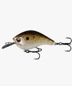 13 FISHING JABBER JAW TRUFFLE BUTTER JJC60-20