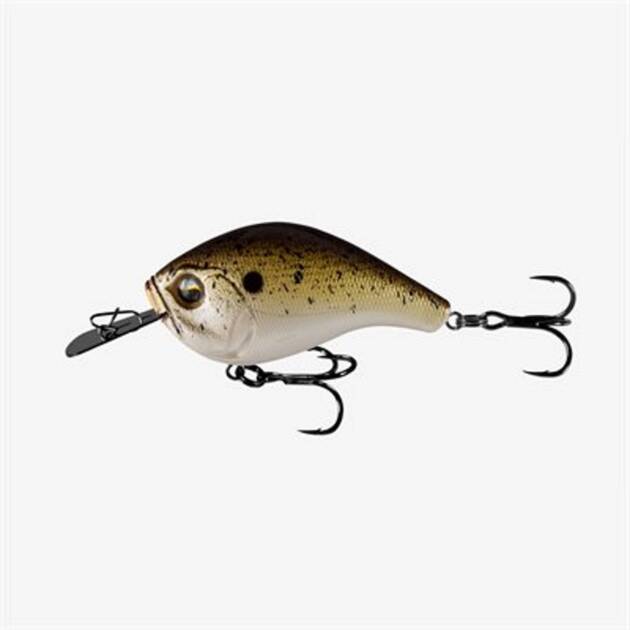 13 FISHING JABBER JAW TRUFFLE BUTTER JJC60-20