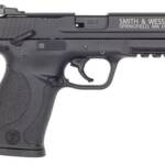 Smith & Wesson 108390 M&P 22 Compact Frame 22 LR 10+1, 3.60" Black Steel Barrel, Black Hard Coat Anodized Serrated Slide, Black Polymer Frame w/Picatinny Rail Frame & Grip, Ambidextrous, Thumb Safety